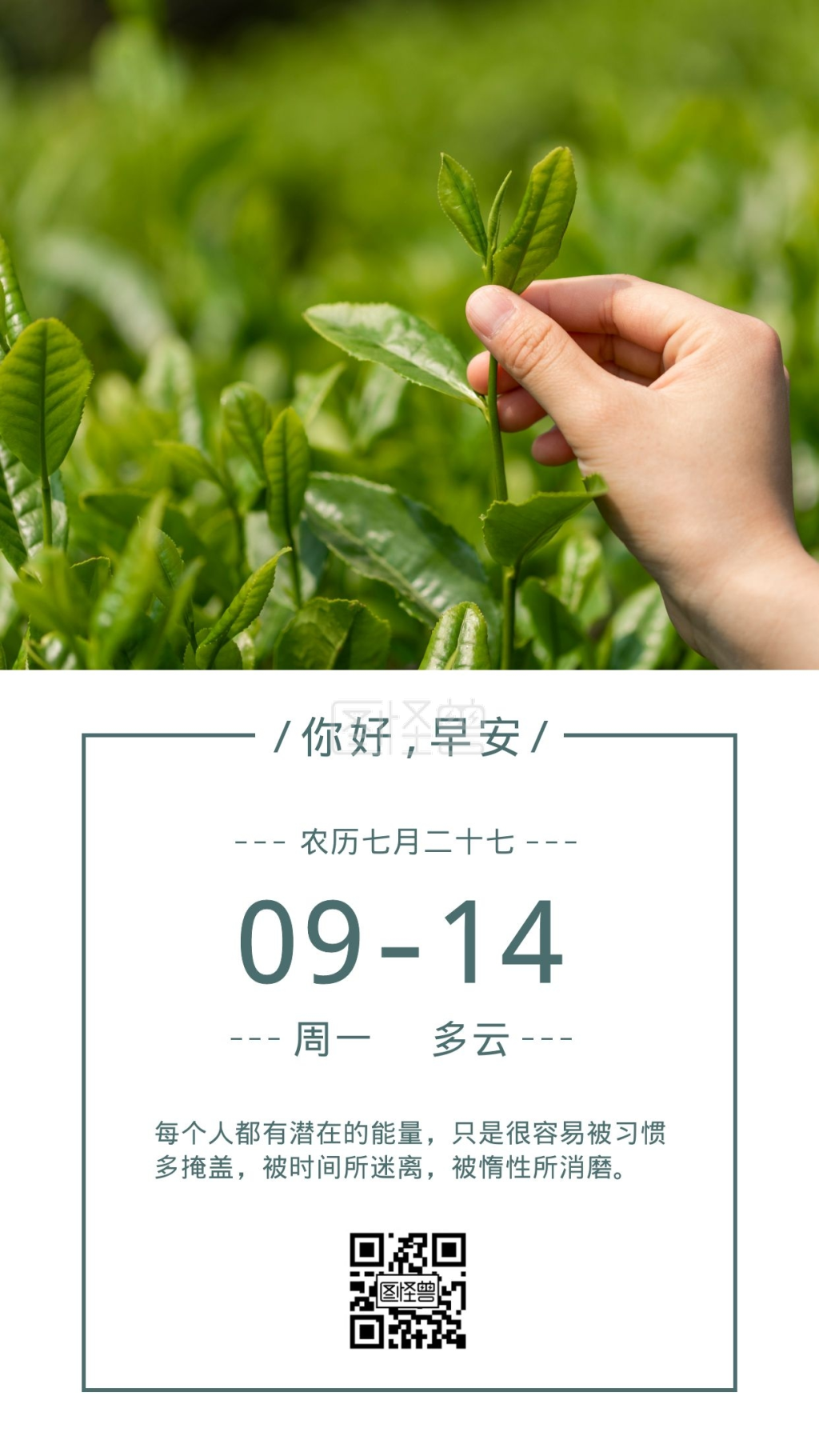 绿色健康茶叶小清新简约签到日签海报