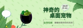 绿色小清新植物盆栽多肉神奇的桌面宠物电商海报banner