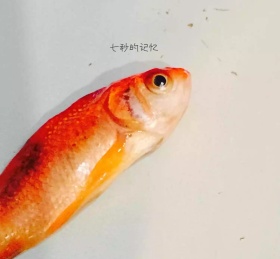 七秒的记忆朋友圈封面