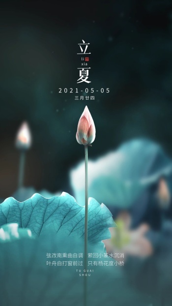 原创意立夏节气摄影图地产手机海报