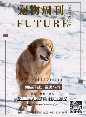 猫的剪影宠物摄影海报