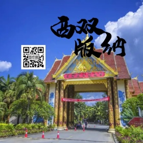 西双版纳扁平化时尚二维码模板