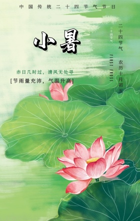 中国风荷花池塘小暑二十四节气手机海报