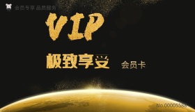 商务 简约 金属 质感 时尚 会员卡正面