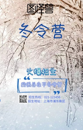 亲自冬令营招生宣传蓝色冰雪天气海报