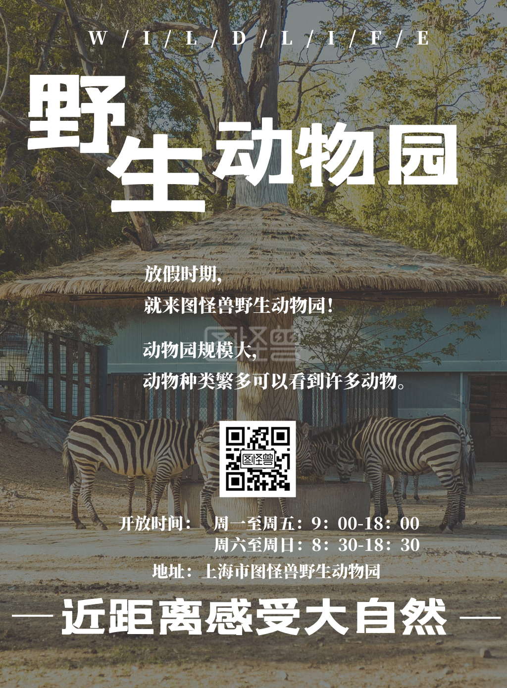 野生动物园海报-野生动物园简约竖版海报在线图片制作-图怪兽
