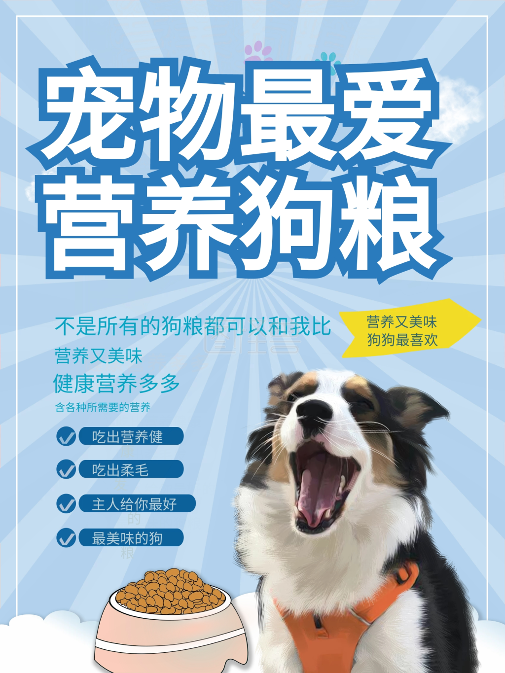 宠物食品宣传介绍海报