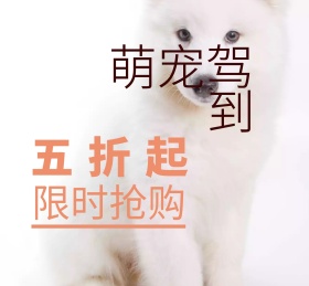  萌宠宠物可爱动物朋友圈封面