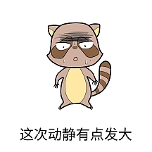 表情包这次动静有点发大小浣熊惊慌出汗