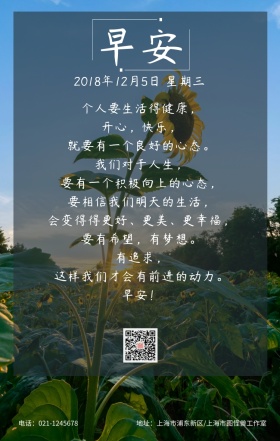 早安向日葵迎着朝阳前进日签