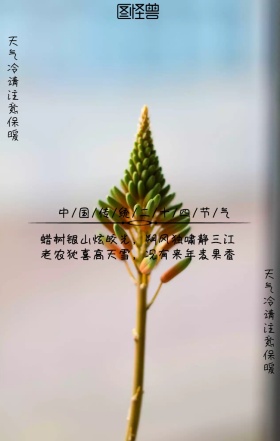 古风水墨大寒传统二十四节气提示祝福海报
