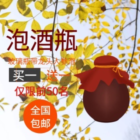 泡酒瓶淘宝主图