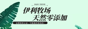 伊利牧场淘宝banner