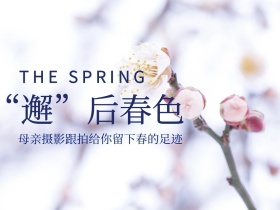 邂后春色母亲节摄影公众号配图