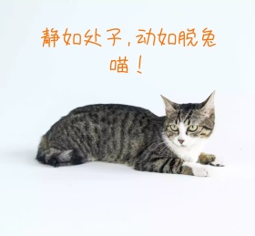 朋友圈背景