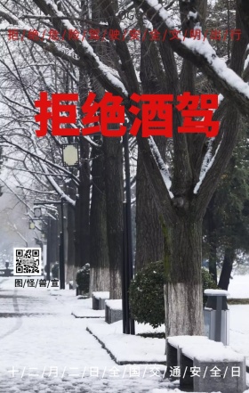 全国交通安全日拒绝酒驾主题宣传海报