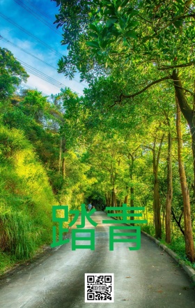 春游去户外踏青海报