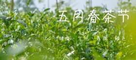 五月春茶节创意简约手机淘宝海报
