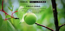 创意国际禁毒日科普公益宣传海报模板