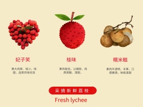采摘新鲜荔枝公众号封面配图