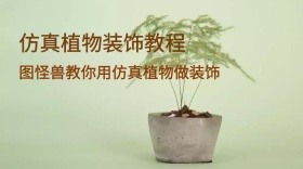 仿真植物摆件装饰文艺公众号封面模板