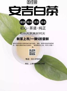 简约风格安吉白茶宣传海报