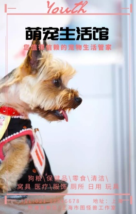宠物之家萌宠促销活动可爱猫狗平面手机海报