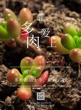爱上多肉海报