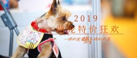 萌宠特价公众号封面