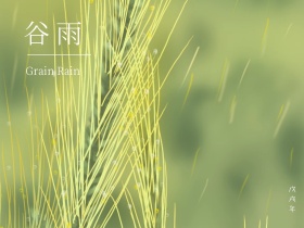 谷雨绿叶水滴红包公众号