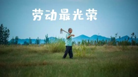 五一劳动节公众号封面