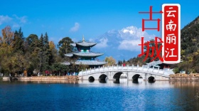 古城云南丽江公众号封面