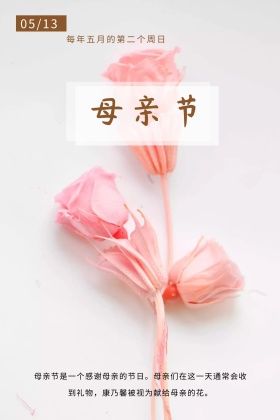 棕色卡通母亲节宣传公众号配图