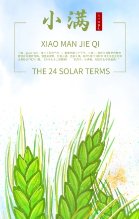 二十四节气小满手机海报