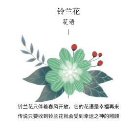 铃兰花简约花语介绍留白方形配图