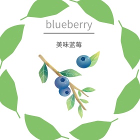 紫色美味蓝莓简约白色方形配图