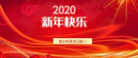 2019金猪贺岁前100名买2送一
