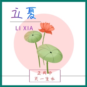 立夏荷花清新公众号配图