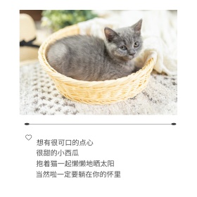 心情语录暖心文艺短句公众号配图