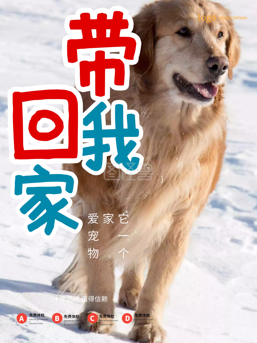 橙色宠物店带我回家促销海报