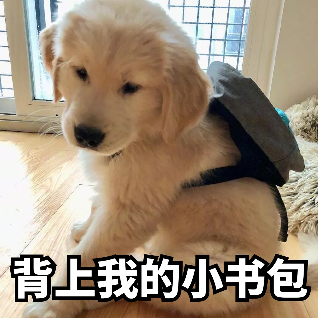 小书包