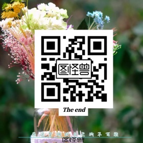 公众号底部图二维码绿色花鸟手绘正方形配图