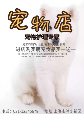 宠物海报