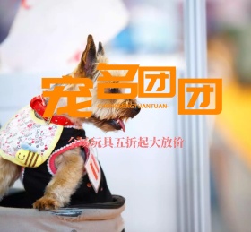萌宠宠物可爱动物朋友圈封面