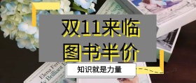 双11来临图书半价书双11紫色炫彩特价