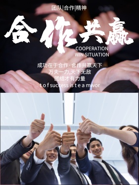 黑白企业文化团队合作精神简约宣传海报设计