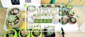 多肉狂欢节绿色简约淘宝banner