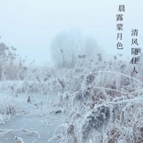 冬日的狗狗手机微博封面