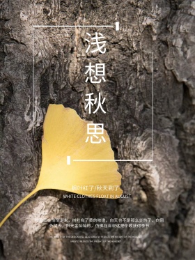 秋季唯美简约浅想秋思诗意文艺配图海报