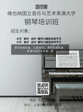 黑色白色钢琴维也纳招生海报